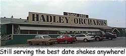 Hadley Orchards