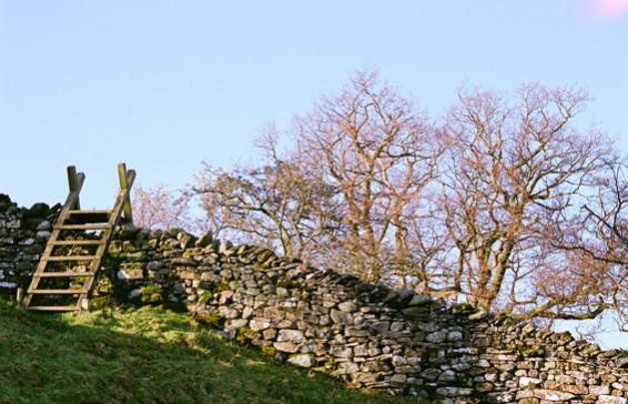 Wall