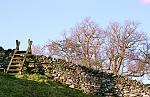 Well, actually, not strictly the Lakes. Our house - East View - is in the Eden Valley. Were it a mile or so to the west, inside the National Park, it would have cost substantially more/