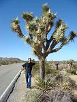 I'm posing by one of the trademark yuccas inside Joshua Tree National Park.