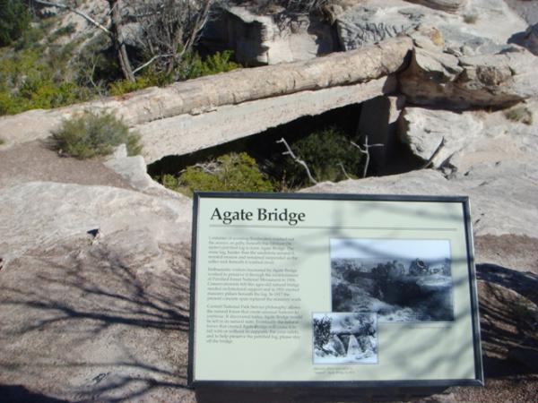 The Agate Bridge in Petrified Forest National Park would have probably fallen already if a support wasn't built under it in the early 1900s. Due to new regulations and philosophies, if this was found today, they would have left it alone, letting it naturally break.