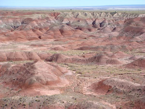 Petrified Forest National Park contains many of the Painted Desert hills found in the southwest.