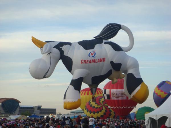 I'm so glad they decided to put in special shapes during the Mass Ascension at the Albuquerque Balloon Festival. This cow balloon probably got some of the loudest cheers when it left the ground.