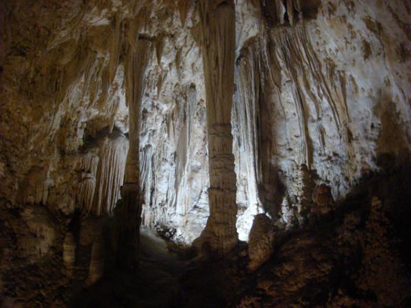 This showcases a variety of stala[ct/gm]ites in the caves of Carlsbad Caverns National Park.