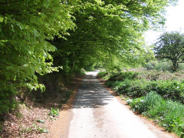 Exmoor roads get very narrow.