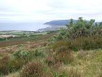 Coastal Exmoor