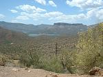 Arizona in bloom in May 2007