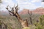 This is up atop Bell Rock, looking east into the valley of Sedona, AZ.