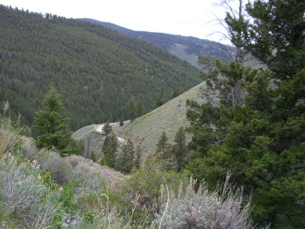 The road from above