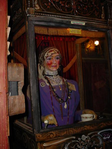 The Fortune Teller