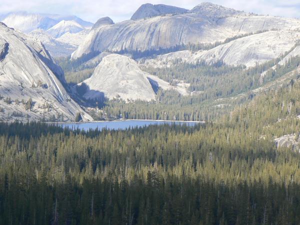 Along Tioga pass