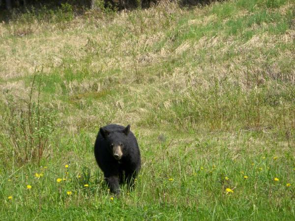 coming towards me