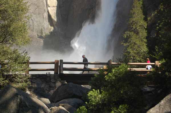 Lower Yosemite falls.