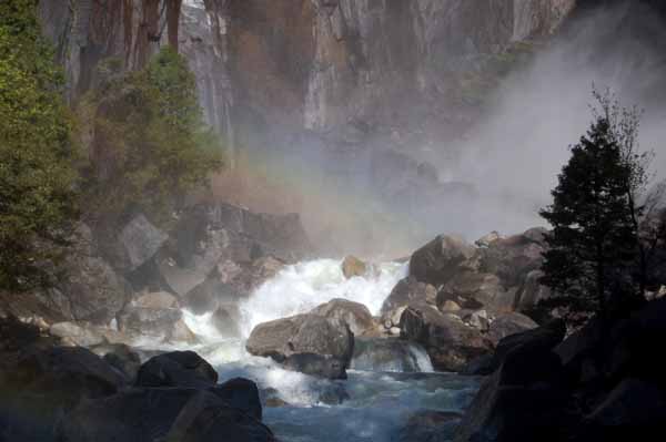 Lower Yosemite falls.