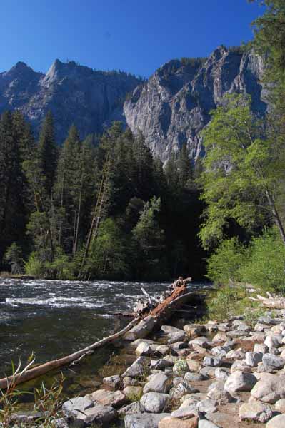 Yosemite: Valley View