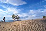 The Dunes