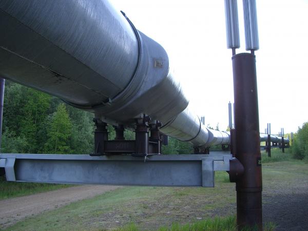 Pics 004