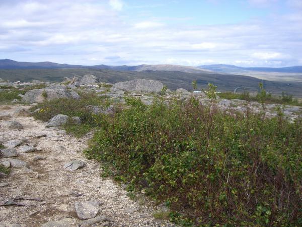 Pics 090