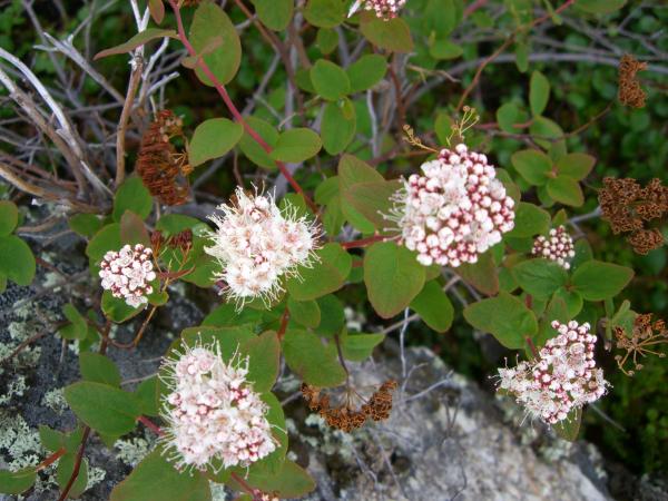 Pics 078