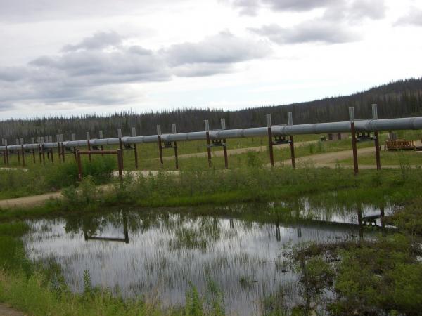 Pics 060