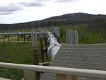 Pics 059