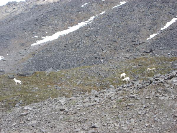 Pics 047