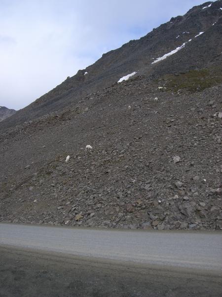 Pics 058