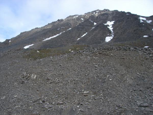Pics 046