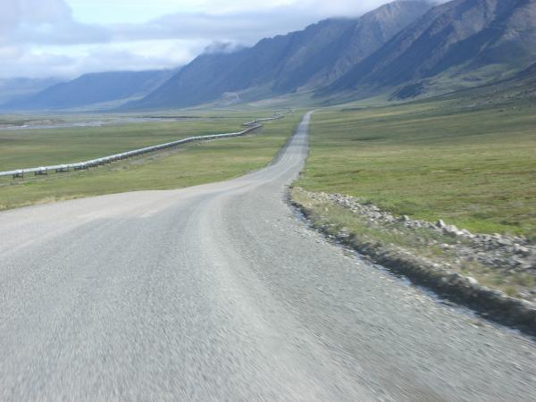 Pics 080