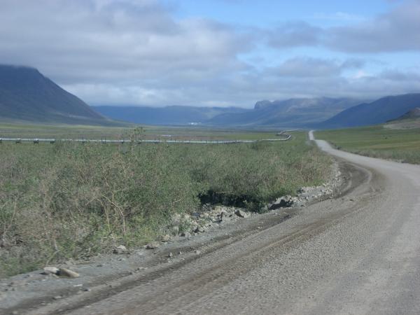 Pics 082