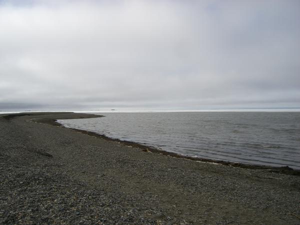 Arctic Ocean