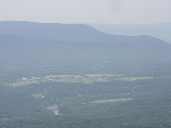Pics 009