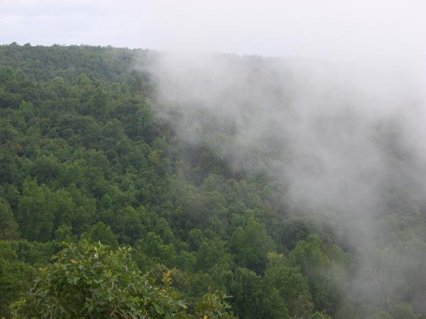 Pics 034