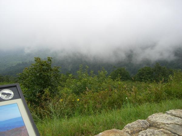 Pics 050