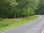 Pics 075