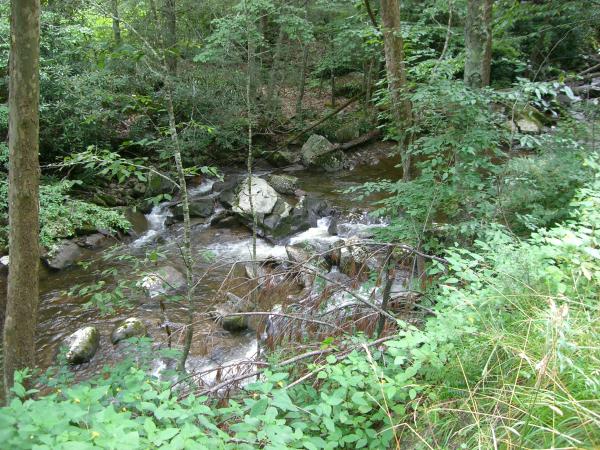 Pics 022