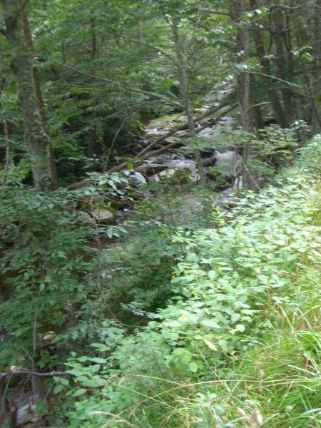 Pics 025