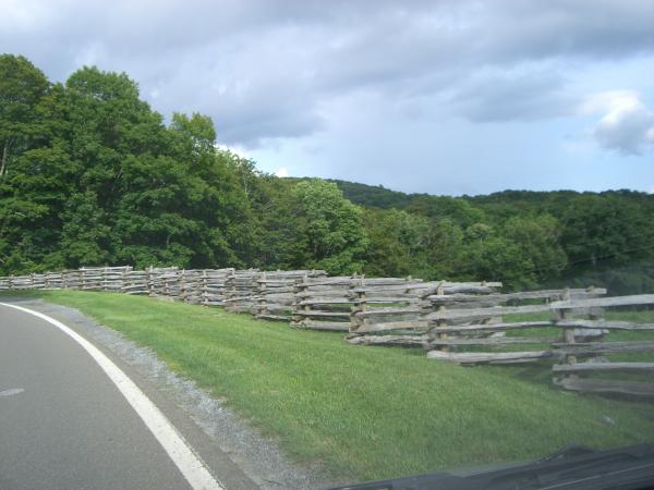 Pics 012