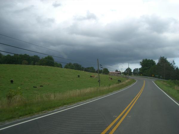 Pics 027