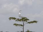 Florida