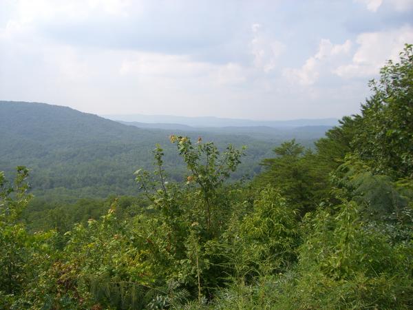 Pics 019