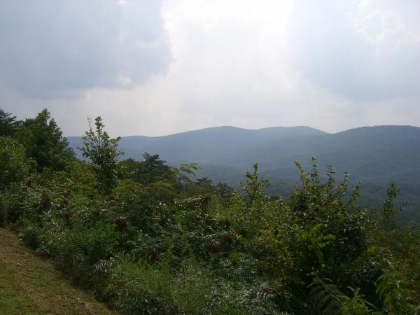 Pics 020