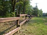 Pics 046