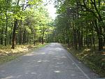 Pics 047