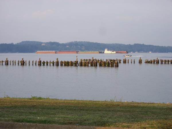Pics 062