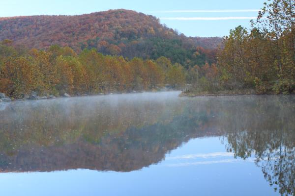 The low temperature caused a nice mist above the stream by our cottage in Cabins, WV.
