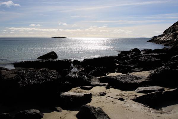 We found the Sandy Beach in Acadia National Park in Maine. This is the farthest north I have seen the Atlantic Ocean.