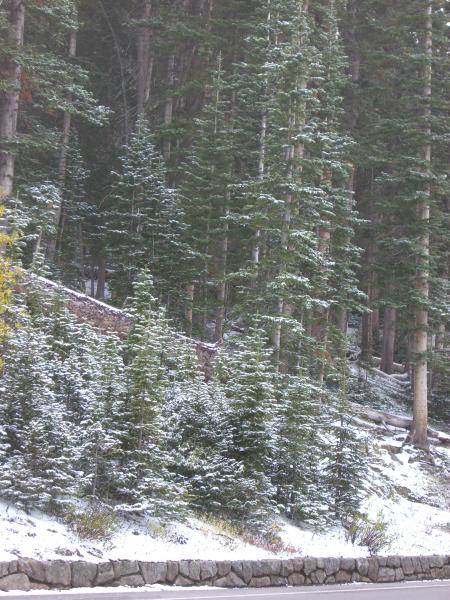 Pics 035
