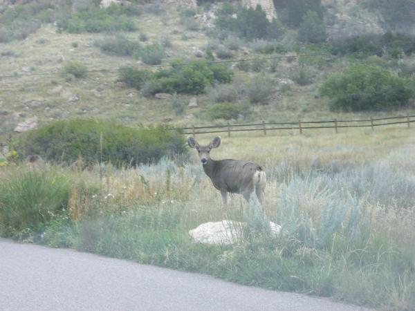 Pics 020