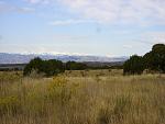 Pics 003